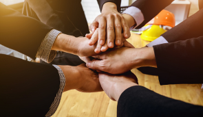 Professional Detectives